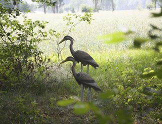 . Der Schnuppertag erwartet dich Bild für Bogenschiessen Schnuppertag .